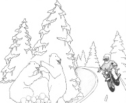 Polar Bear 2003 Artwork.jpg